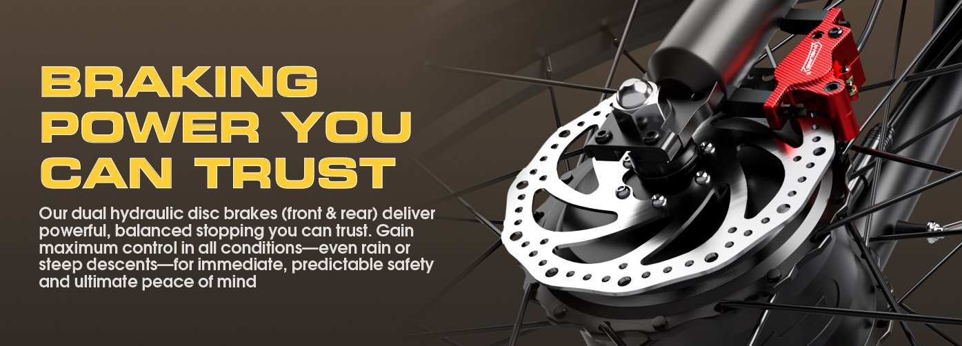 E300Pro hydraulic disc braking