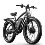 EYBAIKC E300Pro Dual-Motor Electric Bike