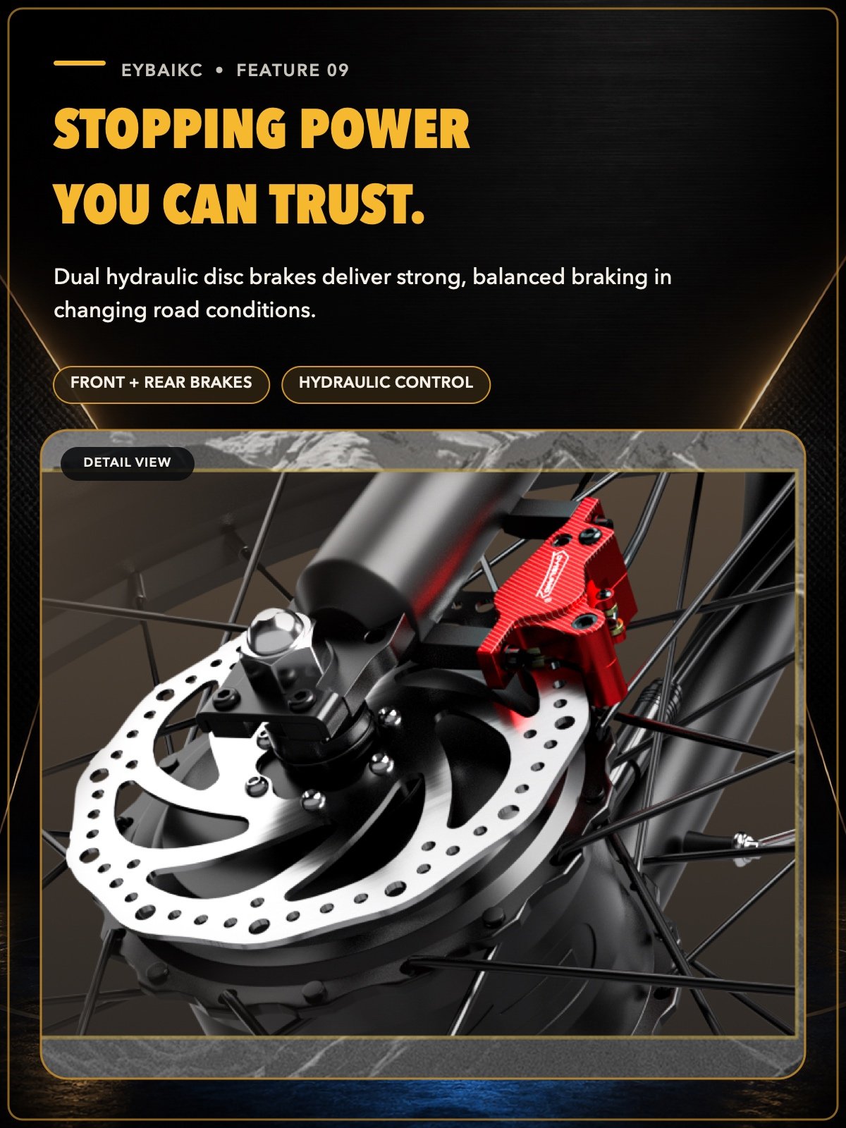 E300Pro hydraulic disc braking